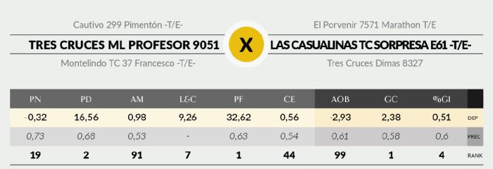 LOTE 14 - 9051 X AGUCHO