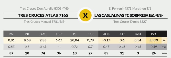 LOTE 21 - 7165 X AGUCHO