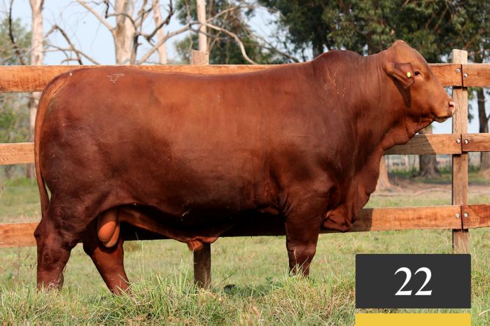 LOTE 22 - Montelindo Capitán Sarmiento 174 -FIV