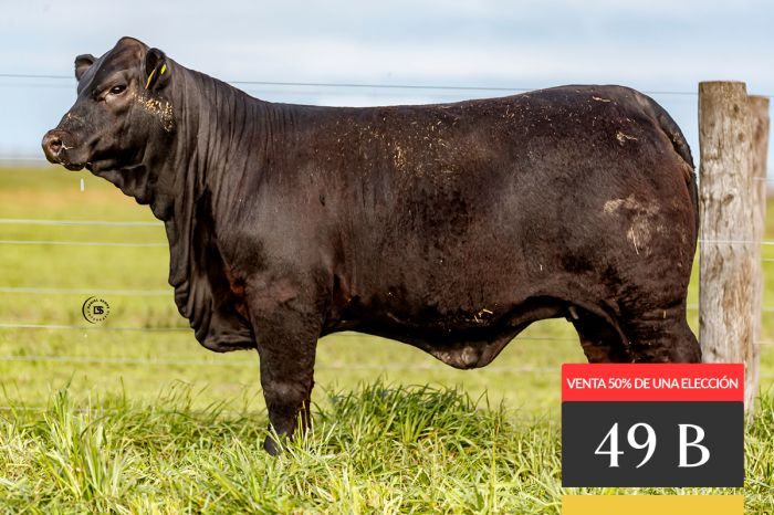 LOTE 49B - Tres Cruces Lukaku 9331 -FIV - VENTA 100% de una ELECCIÓN