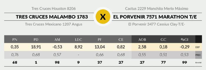 LOTE 20 - 1783 X SORPRESA