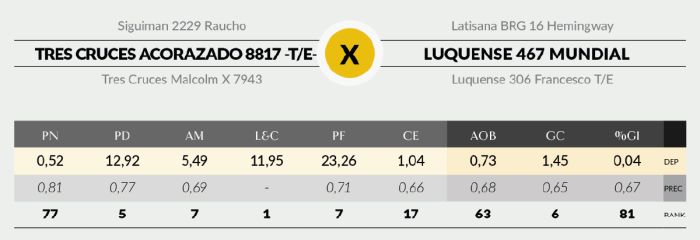 LOTE 7 - 8817 X MUNDIAL