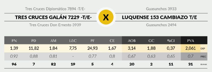LOTE 3 - 7229 X CAMBIAZO