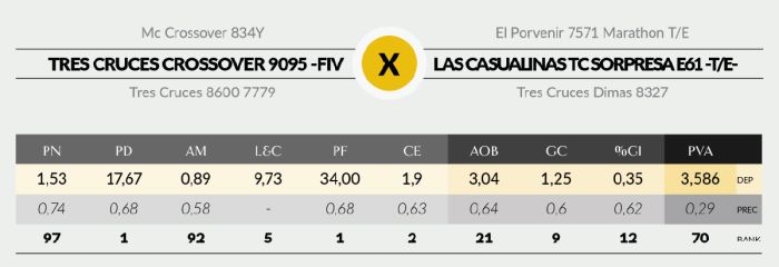LOTE 10 - 9095 X AGUCHO