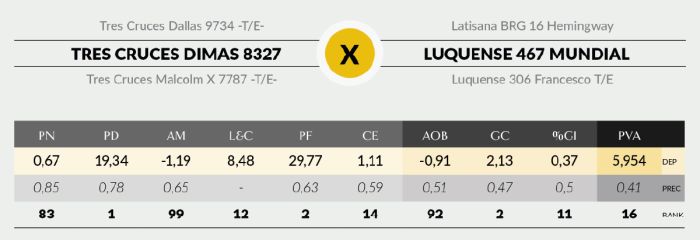 LOTE 2 - 8327 X MUNDIAL