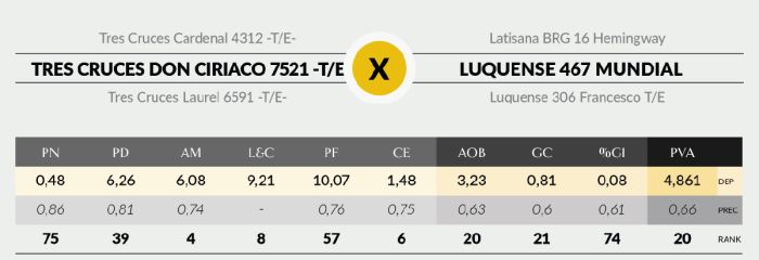 LOTE 24 - 7521 X MUNDIAL