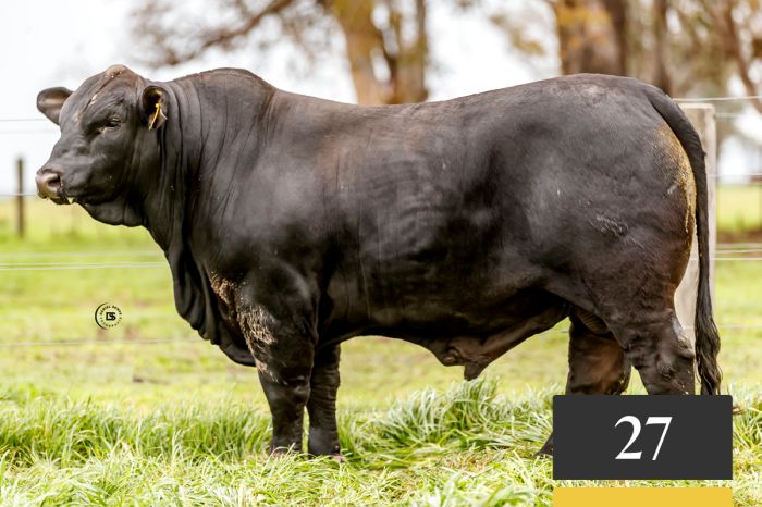 LOTE 27 - Tres Cruces Arasunú 1340 -FIV