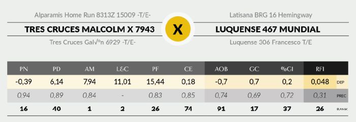 LOTE 5 - 7943 X MUNDIAL