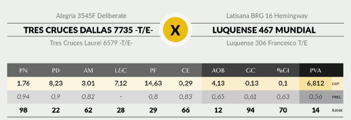 LOTE 11 - 7735 X MUNDIAL