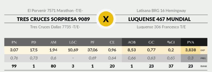 LOTE 12 - 9089 X MUNDIAL