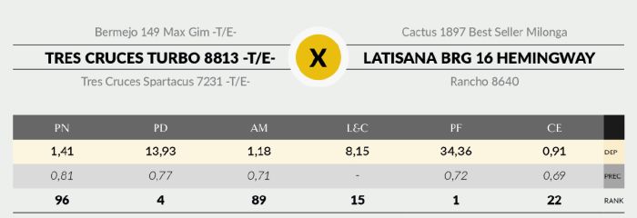 LOTE 13 - 8813 X VIAMONTE