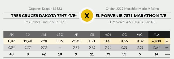 LOTE 15 - 7547 X SORPRESA