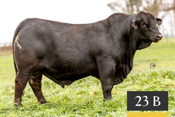 LOTE 23B - Tres Cruces Ita Pucu 1406