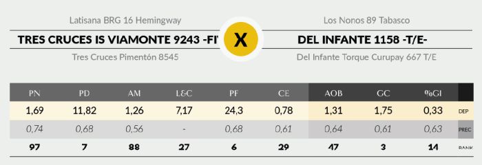 LOTE 16 - 9243 X DRAGO