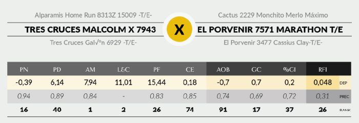 LOTE 4 - 7943 X SORPRESA
