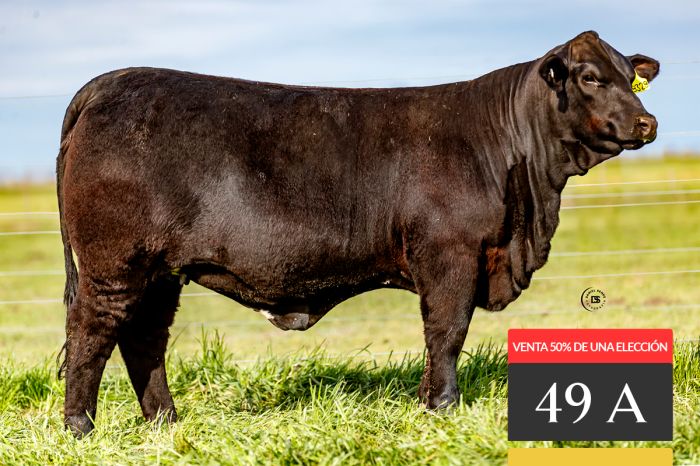 LOTE 49A - Tres Cruces Lukaku 9329 -FIV - VENTA 100% de una ELECCIÓN