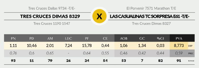 LOTE 17 - 8329 X AGUCHO