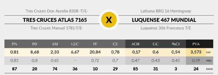 LOTE 22 - 7165 X MUNDIAL
