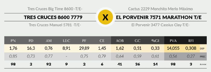 LOTE 8 - 7779 X SORPRESA