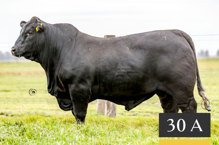 LOTE 30A - Tres Cruces Turbo 1352 -FIV