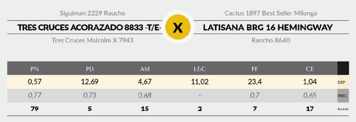 LOTE 6 - 8833 X VIAMONTE