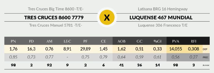LOTE 9 - 7779 X MUNDIAL
