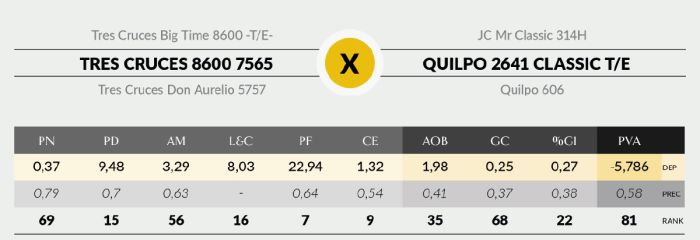 LOTE 25 - 7565 X COLOSO
