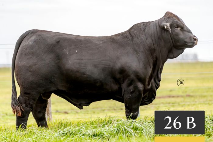 LOTE 26B - Tres Cruces Arasunú 1410 -FIV