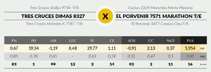 LOTE 1 - 8327 X SORPRESA