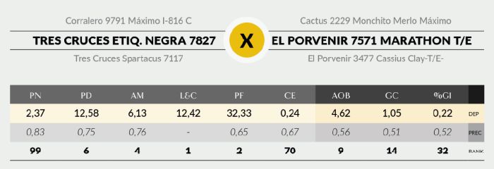 LOTE 19 - 7827 X SORPRESA
