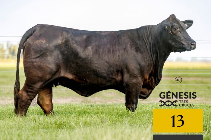 LOTE 13 - 8813 X VIAMONTE