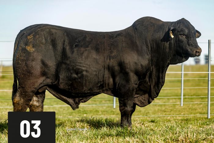 CORRAL 3 - TRES CRUCES ETIQUETA NEGRA 556 -T/E- EUSEBIO