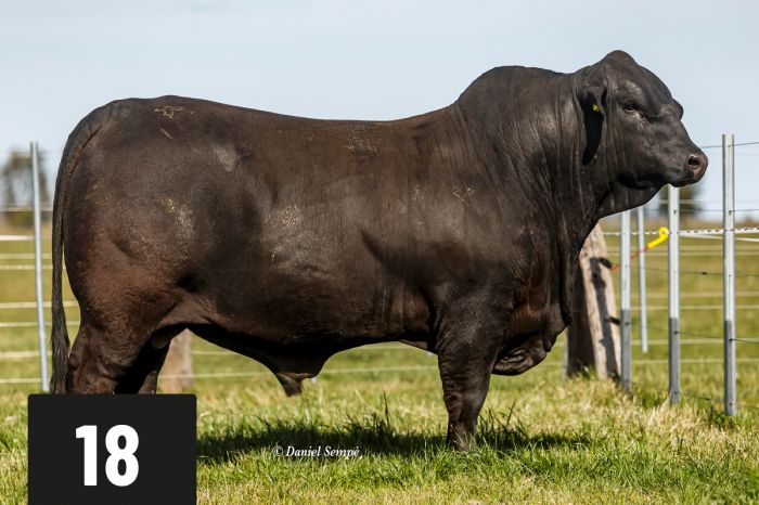 CORRAL 18 - TRES CRUCES MALAMBO 2066 -T/E- MARISCAL